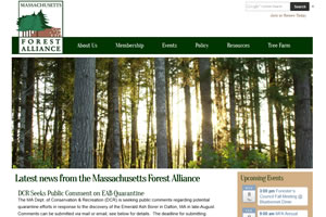 Mass Forest Alliance